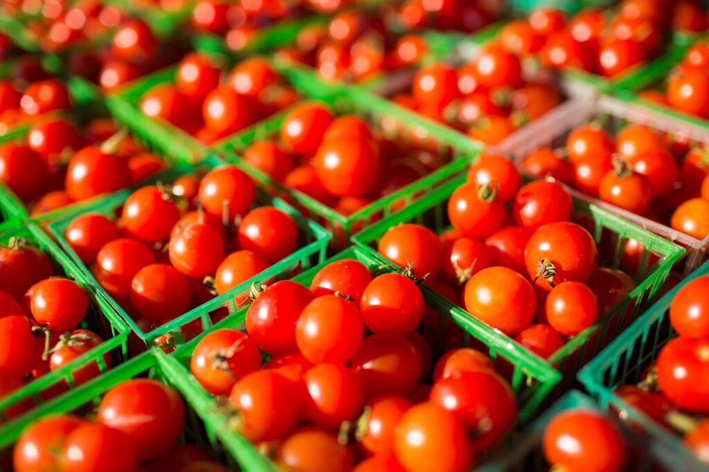 Baskets of small tomatoes at a vendor's stall